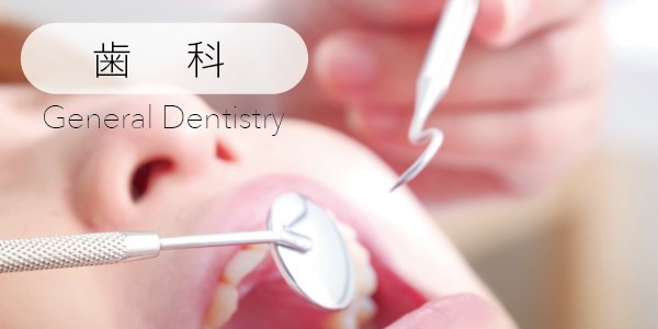 一般歯科