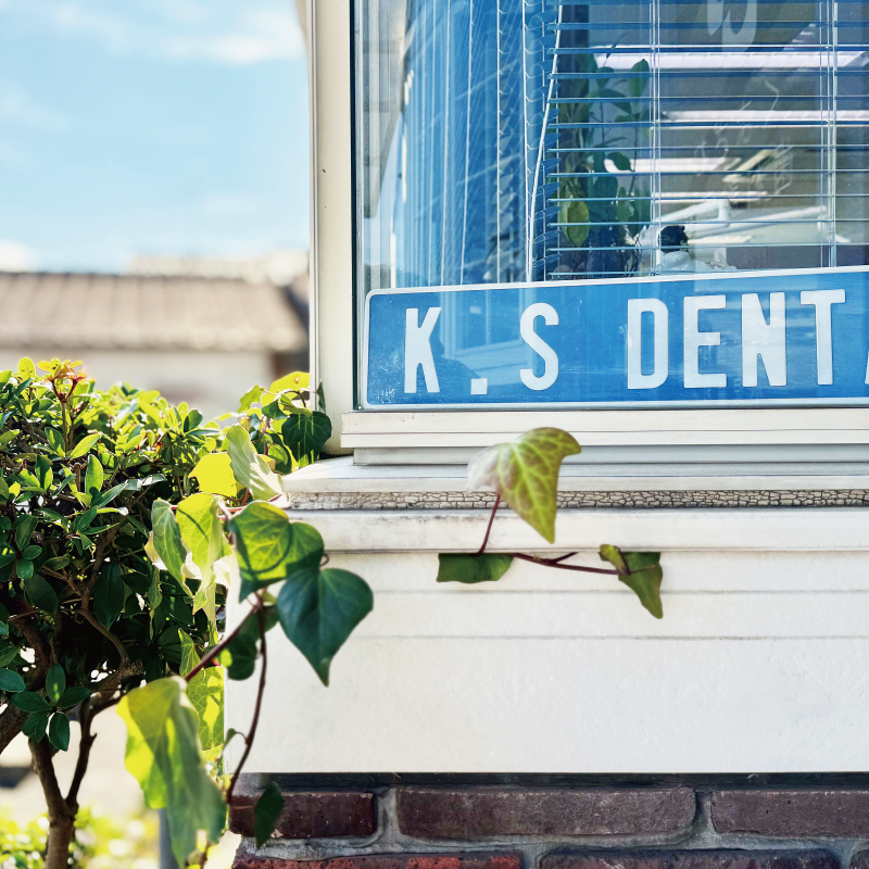 外観：エントランス傍窓