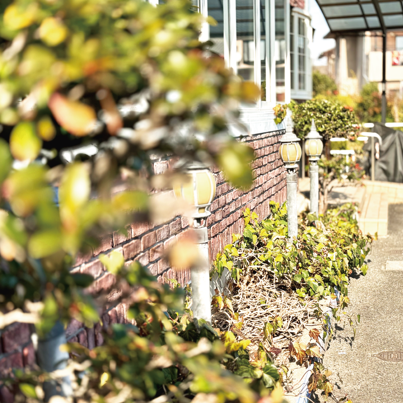 外観：駐車場、植栽