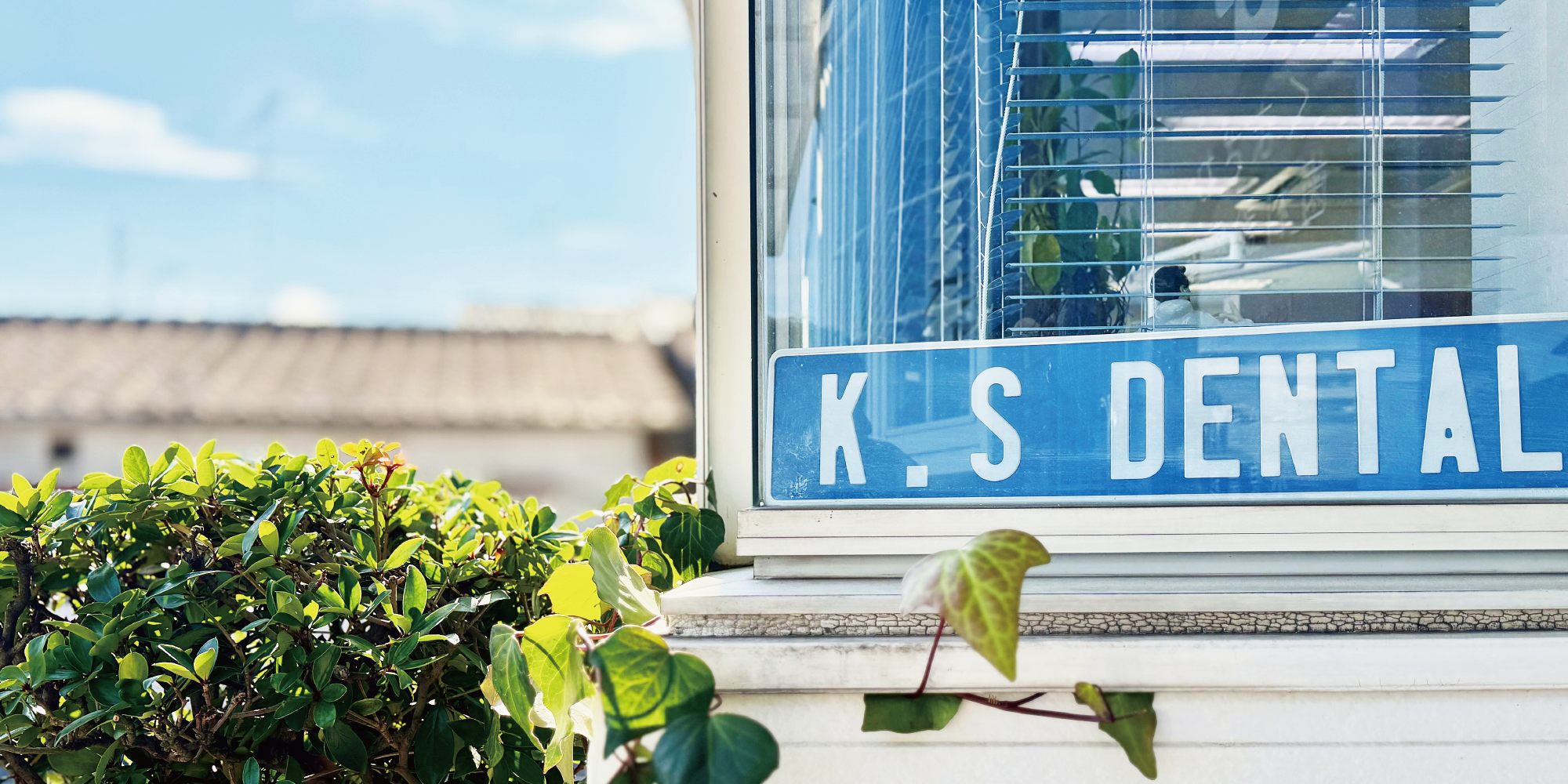 外観：エントランス傍窓