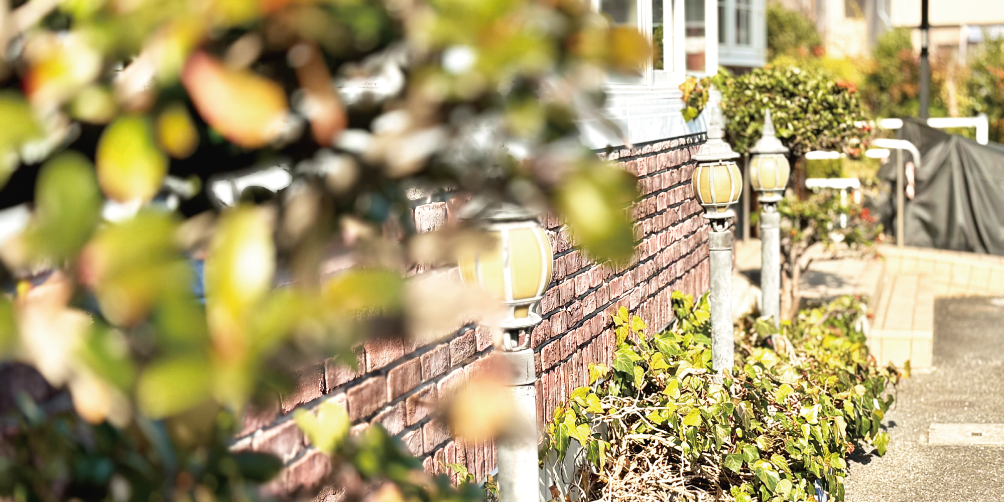 外観：駐車場、植栽